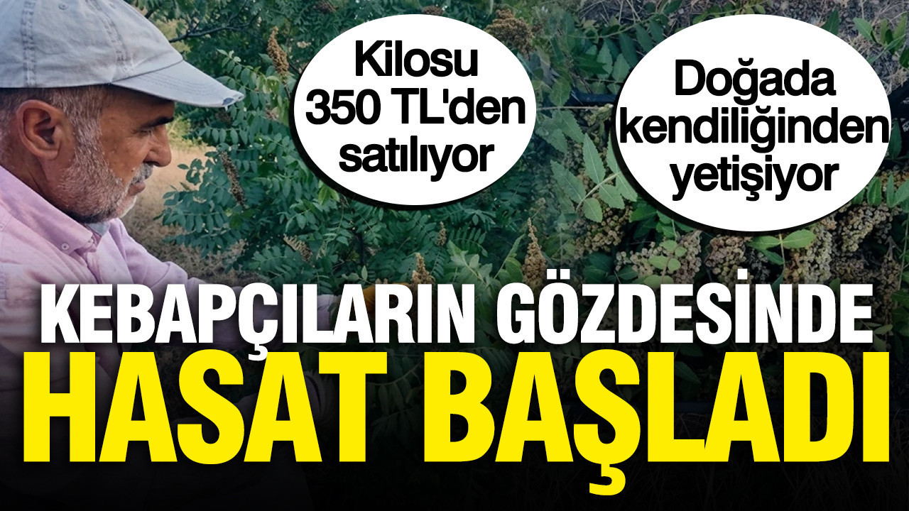 haber-gorseli-1786450451855